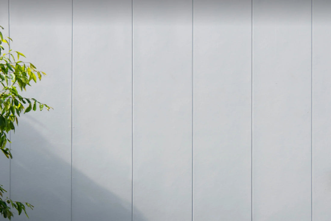 Axon Cladding