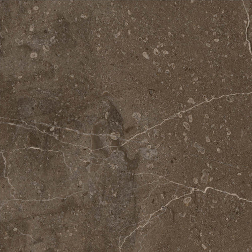 Terrane Marble Brown HiLite Textured Tile